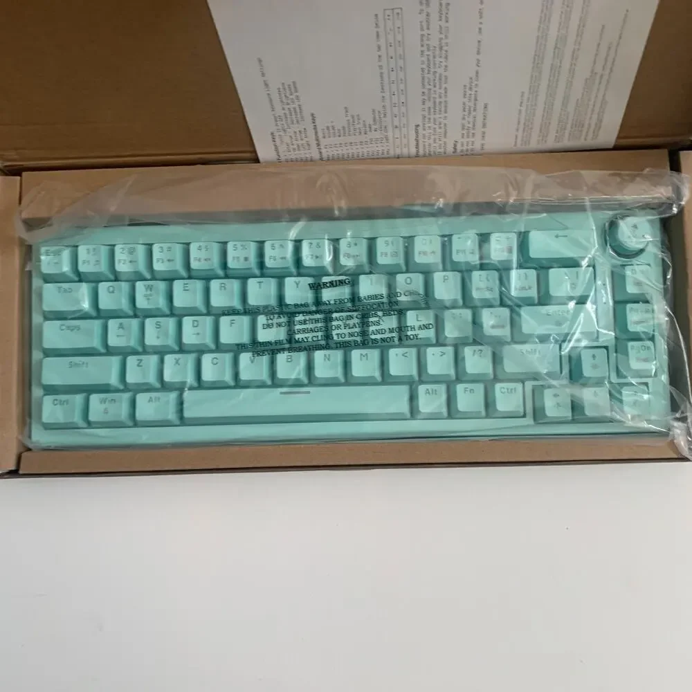 NORTH Compact Mechanical Keyboard 65% Wired Rainbow Lit Keyboard NEW
